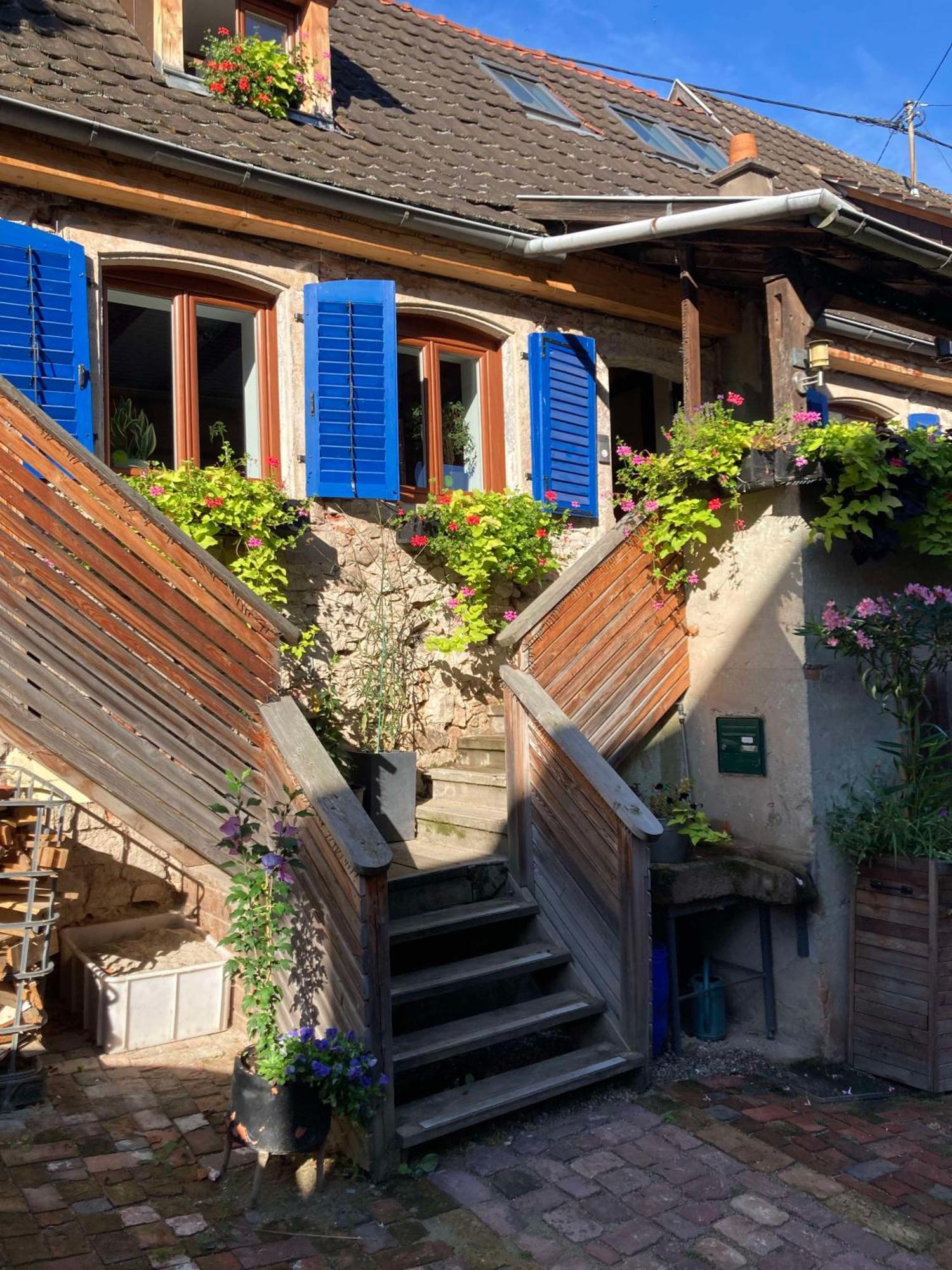 Les Gites Du Raceme Blienschwiller Exterior photo