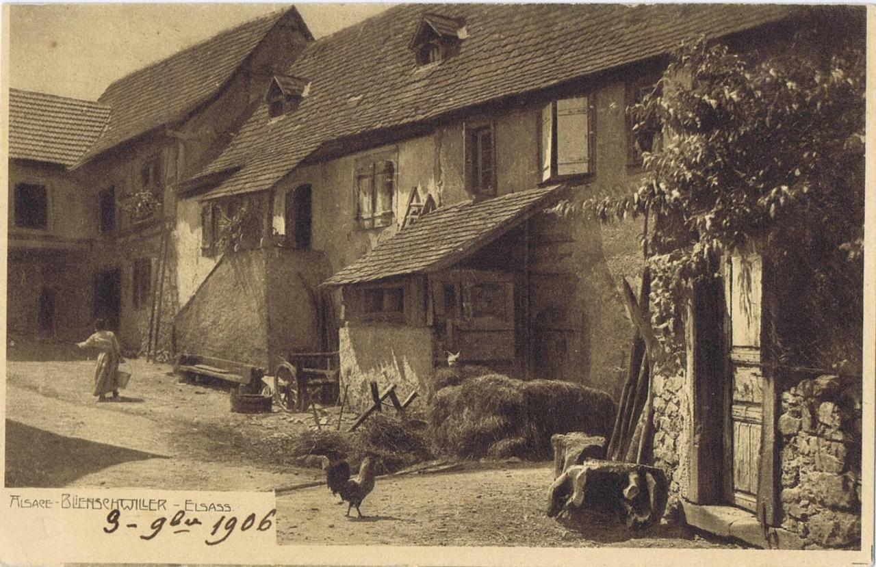 Les Gites Du Raceme Blienschwiller Exterior photo